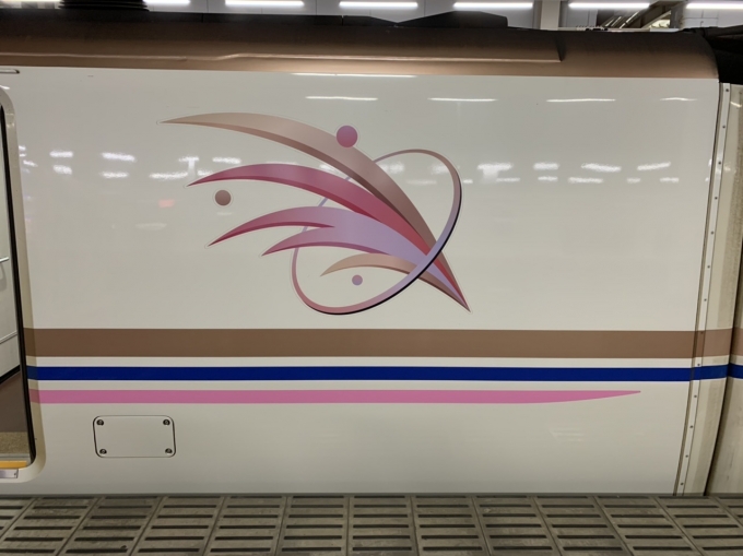 鉄道乗車記録の写真:乗車した列車(外観)(2)        「上越新幹線用E7系はピンクのラインが入る。」