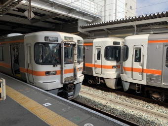 豊橋駅から新所原駅の乗車記録(乗りつぶし)写真