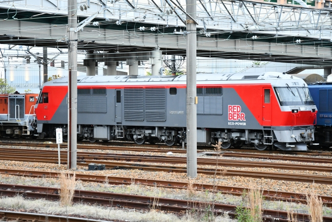 鉄道乗車記録の写真:列車・車両の様子(未乗車)(1)          「DF200
関東では見れない機関車！」