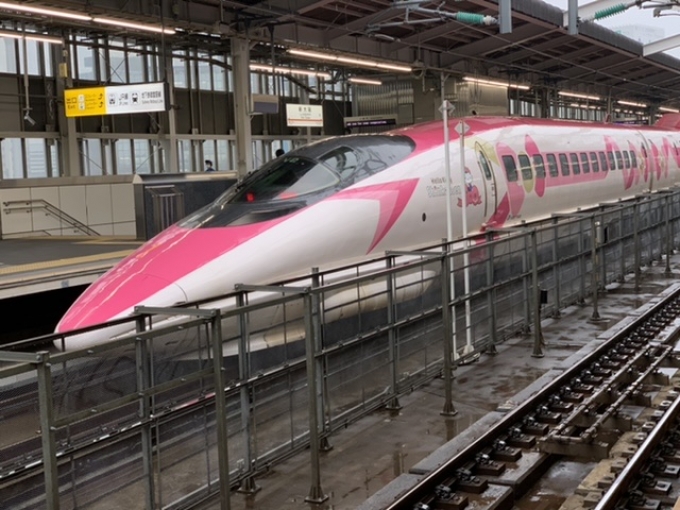 鉄道乗車記録の写真:列車・車両の様子(未乗車)(4)        「キティ新幹線」