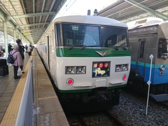 伊豆急下田駅から東京駅の乗車記録(乗りつぶし)写真