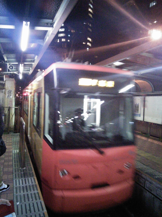 鉄道乗車記録の写真:乗車した列車(外観)(1)          「東京さくらトラム完乗しました！！」