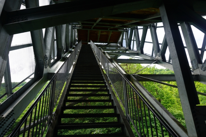 鉄道乗車記録の写真:旅の思い出(27)        「ラージヒルのスタート地点に向かう階段」