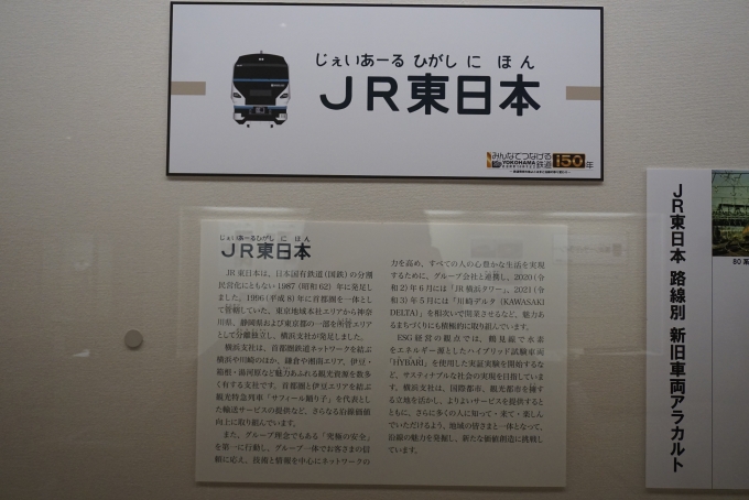 鉄道乗車記録の写真:旅の思い出(21)        「JR東日本」