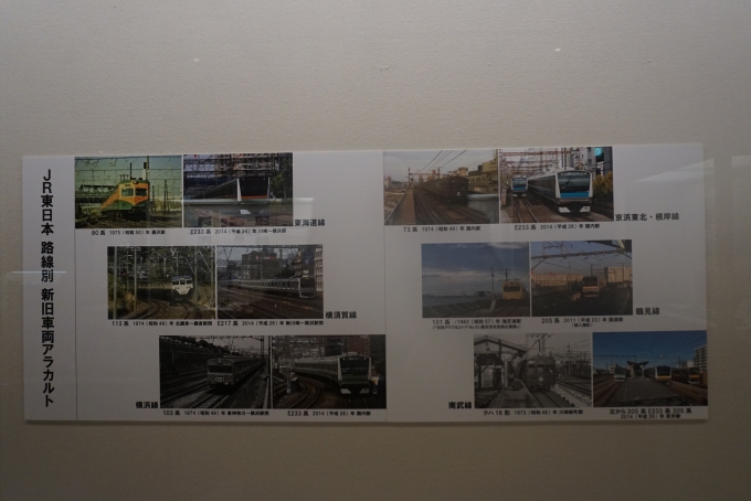 鉄道乗車記録の写真:旅の思い出(22)        「JR東日本詳細」