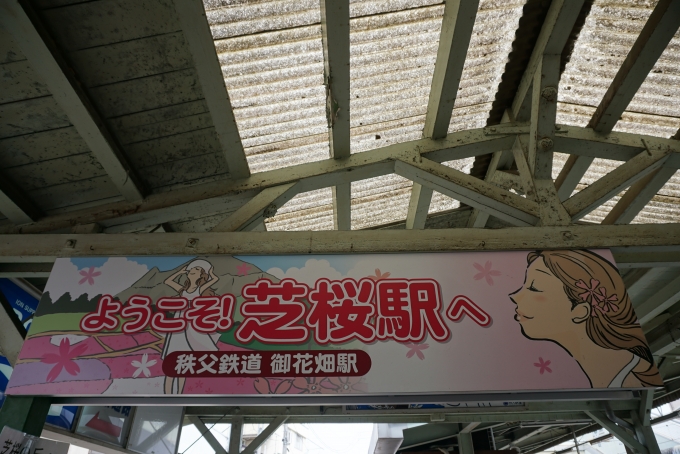 鉄道乗車記録の写真:駅舎・駅施設、様子(7)        「芝桜駅へ」