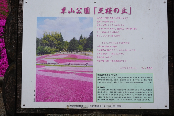 鉄道乗車記録の写真:旅の思い出(14)        「羊山公園「芝桜の丘」」