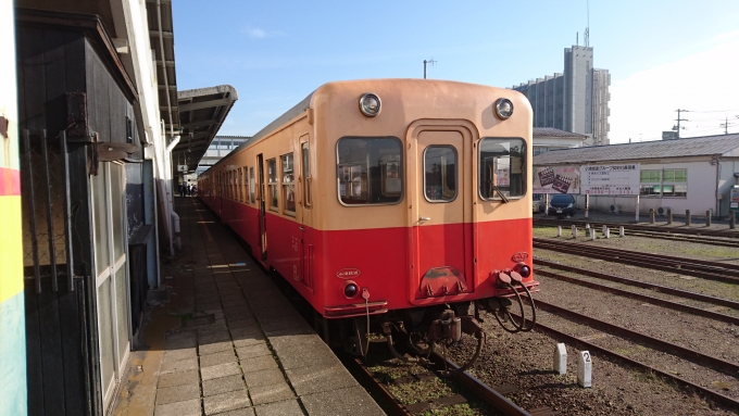 鉄道乗車記録の写真:乗車した列車(外観)(3)        「キハ213」