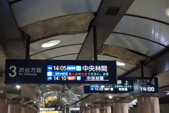 永田町駅から二子玉川駅:鉄道乗車記録の写真