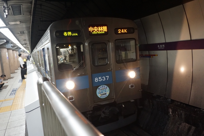 鉄道乗車記録の写真:乗車した列車(外観)(4)        「東急8500系電車8537」
