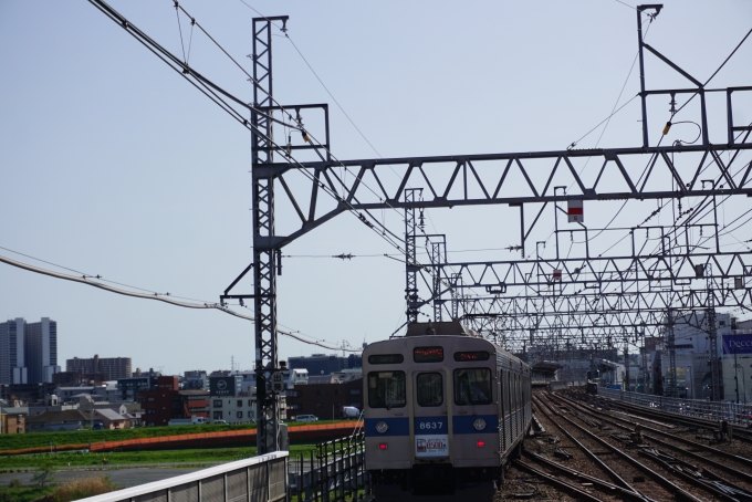鉄道乗車記録の写真:乗車した列車(外観)(11)        「東急8500系電車8637」