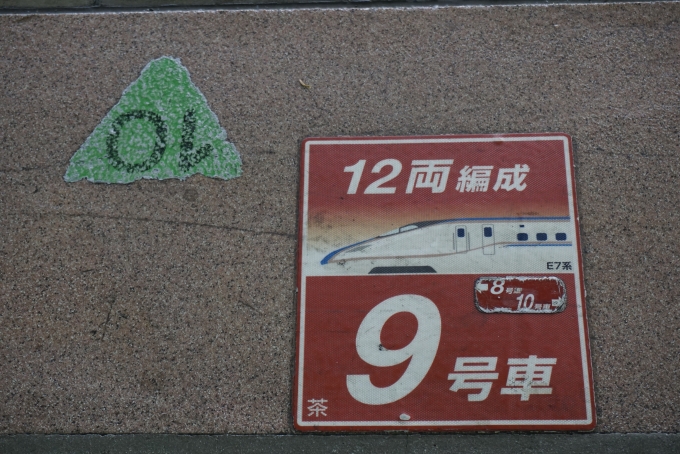 鉄道乗車記録の写真:駅舎・駅施設、様子(3)        「大宮駅12両編成9号車」