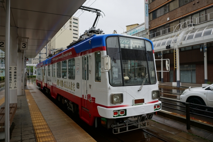 鉄道乗車記録の写真:乗車した列車(外観)(4)        「福井鉄道 773
降車後に撮影」