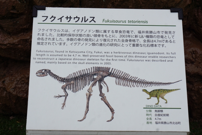 鉄道乗車記録の写真:旅の思い出(6)        「フクイサウルス詳細」