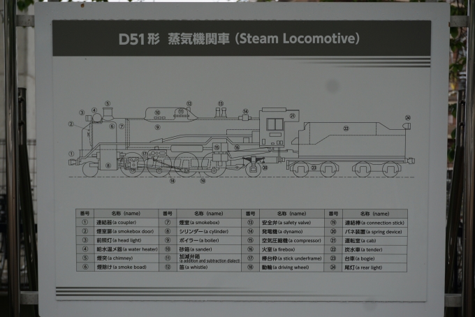 鉄道乗車記録の写真:旅の思い出(23)        「D51型蒸気機関車」