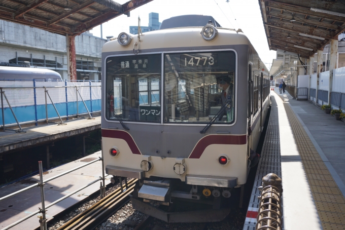 鉄道乗車記録の写真:乗車した列車(外観)(10)        「富山地方鉄道 14773
乗車前に撮影」
