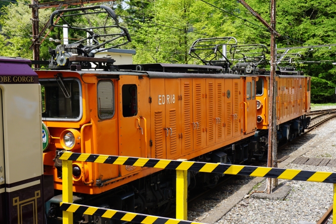 鉄道乗車記録の写真:列車・車両の様子(未乗車)(26)        「EDR18」