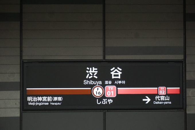 鉄道乗車記録の写真:駅名看板(1)        「東横線渋谷駅」