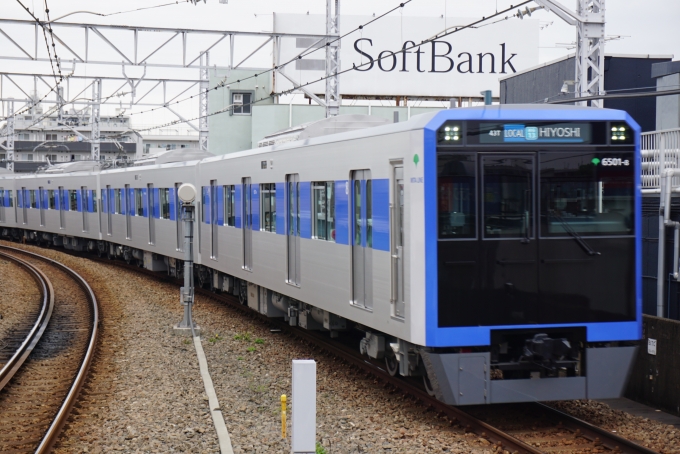 鉄道乗車記録の写真:乗車した列車(外観)(1)        「東京都交通局 6501‐8
乗車前に撮影」