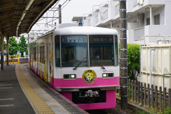 鉄道乗車記録の写真:乗車した列車(外観)(3)        「新京成電鉄 8814-1
乗車前に撮影」
