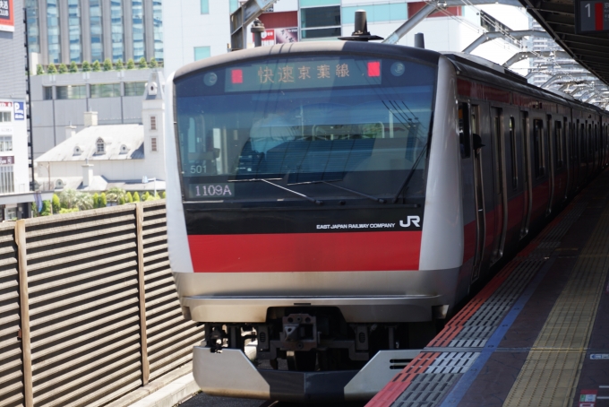 鉄道乗車記録の写真:乗車した列車(外観)(5)        「JR東日本 クハE232-5001
降車後に撮影」