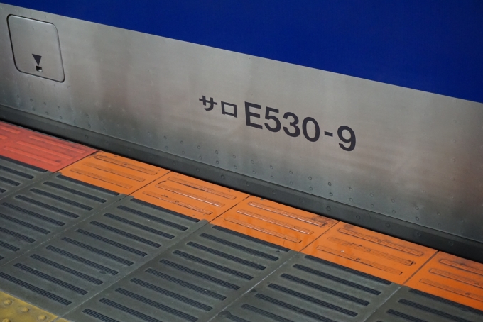 鉄道乗車記録の写真:車両銘板(3)        「JR東日本 サロE530-9」