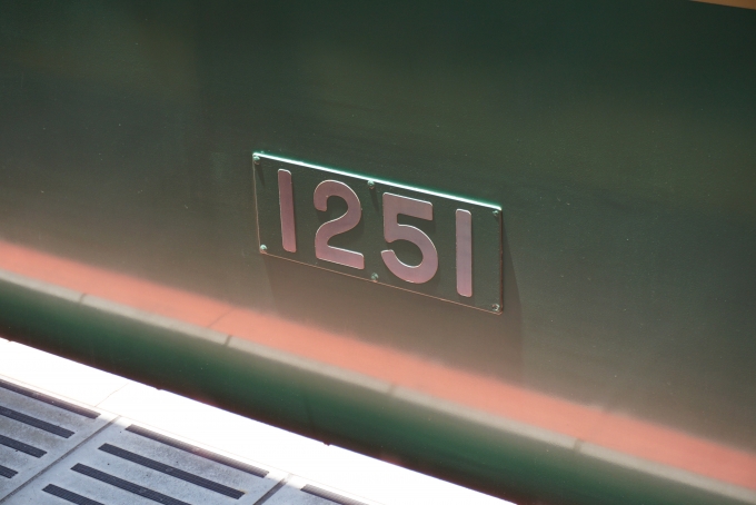 鉄道乗車記録の写真:車両銘板(10)        「江ノ島電鉄 1251」