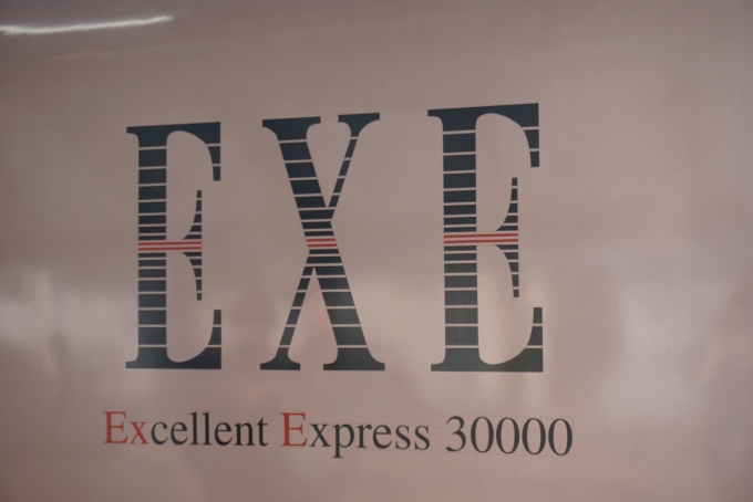 鉄道乗車記録の写真:乗車した列車(外観)(8)        「EXE」