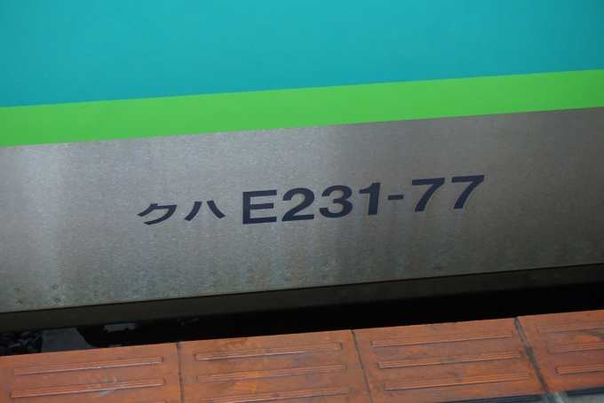鉄道乗車記録の写真:車両銘板(2)        「JR東日本 クハE231-77」