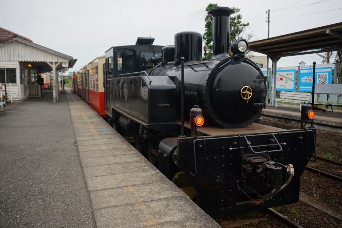 鉄道乗車記録の写真:乗車した列車(外観)(7)        「小湊鐵道DB形ディーゼル機関車4」