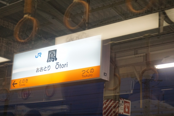 鉄道乗車記録の写真:駅名看板(8)        「駅看板」