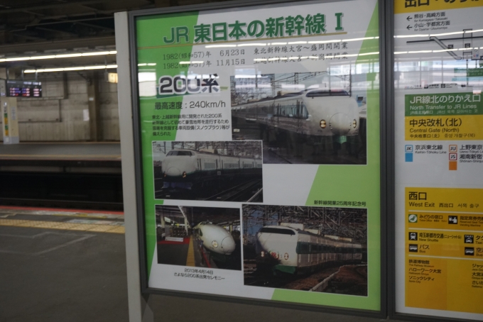 鉄道乗車記録の写真:駅舎・駅施設、様子(4)        「東日本の新幹線」