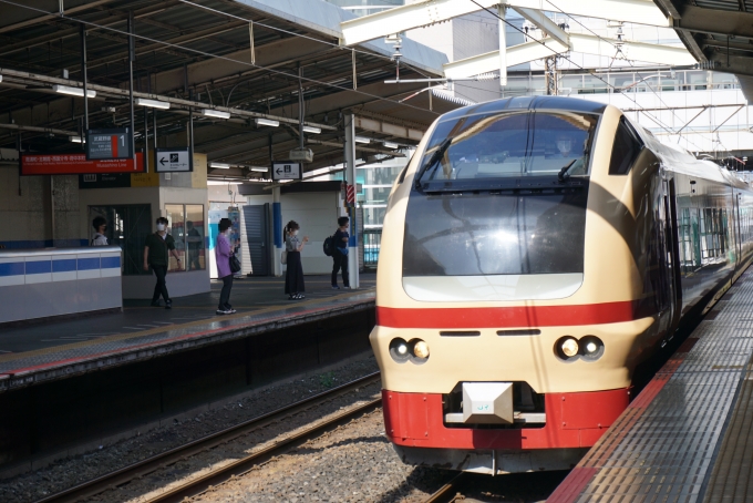 鉄道乗車記録の写真:乗車した列車(外観)(4)        「JR東日本 クハE653-1008
乗車前に撮影」