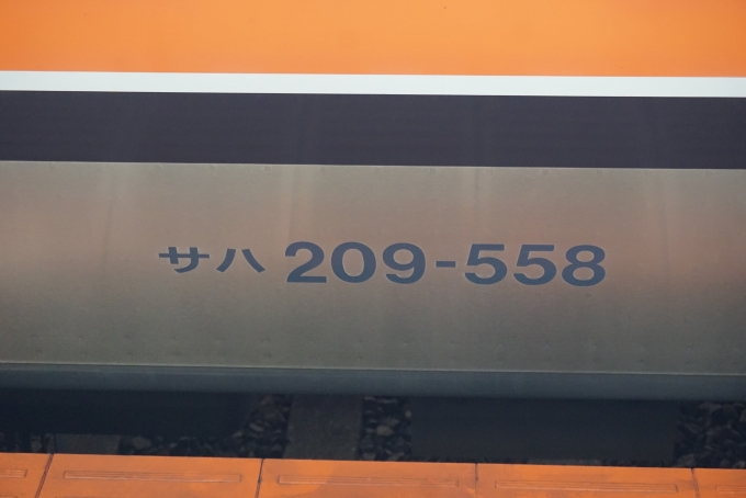 鉄道乗車記録の写真:車両銘板(3)        「JR東日本 サハ209-558」