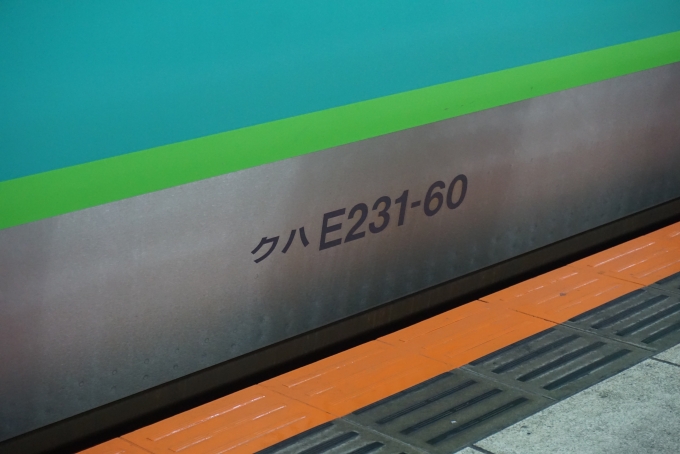 鉄道乗車記録の写真:車両銘板(2)        「JR東日本 クハE231-60」