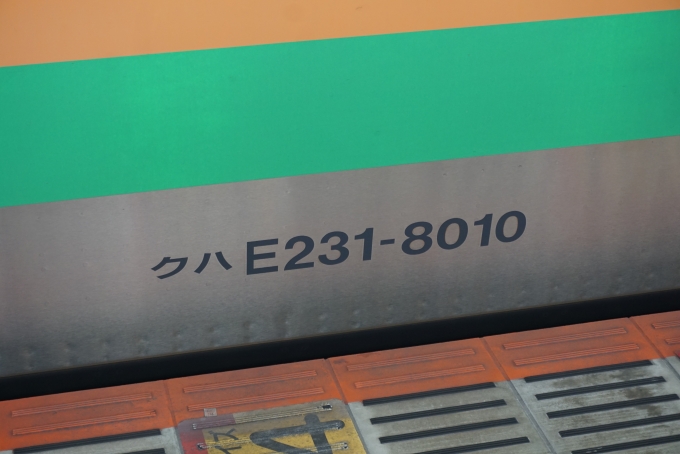 鉄道乗車記録の写真:車両銘板(2)        「JR東日本 クハE231-8010」