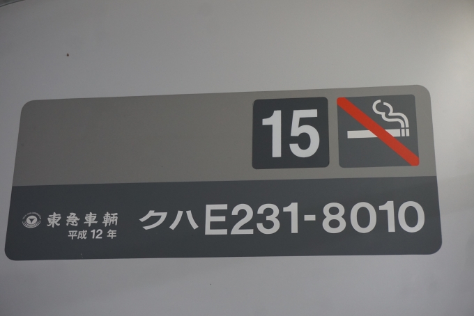 鉄道乗車記録の写真:車両銘板(5)        「JR東日本 クハE231-8010」