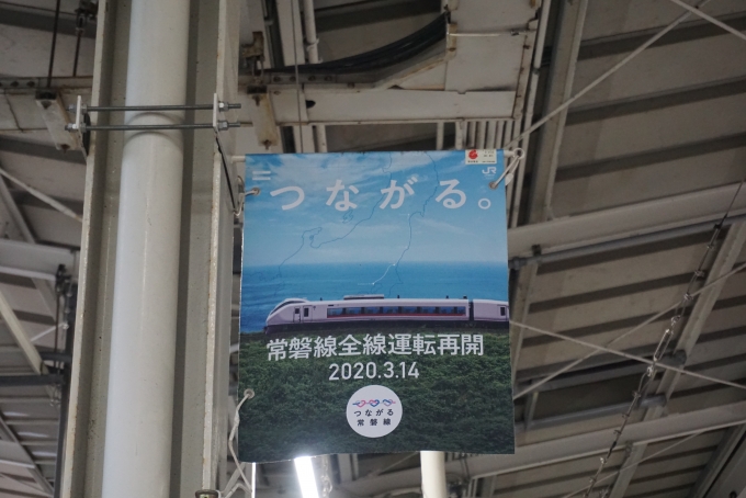 鉄道乗車記録の写真:駅舎・駅施設、様子(9)        「つながる常磐線」
