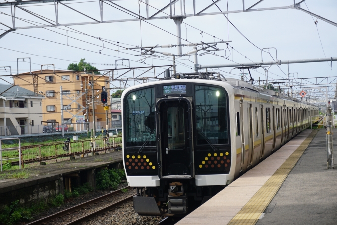 鉄道乗車記録の写真:乗車した列車(外観)(1)        「JR東日本 クモハE131-603
乗車前に撮影」