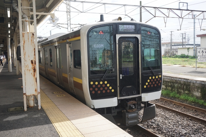 鉄道乗車記録の写真:乗車した列車(外観)(3)        「JR東日本 クハE130-605
乗車前に撮影」