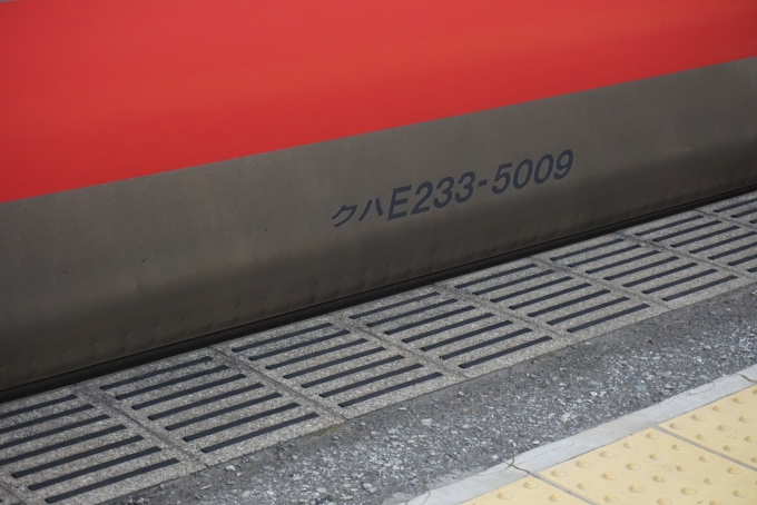 鉄道乗車記録の写真:車両銘板(2)        「JR東日本クハE233-5009」