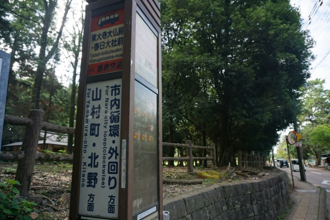 鉄道乗車記録の写真:旅の思い出(4)        「東大寺と春日大社のバス停」