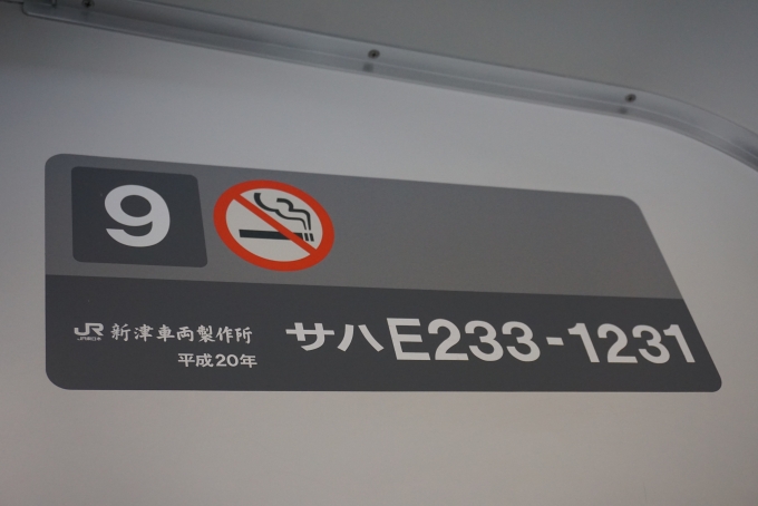 鉄道乗車記録の写真:車両銘板(2)        「JR東日本 サハE233-1251
乗車した車両」