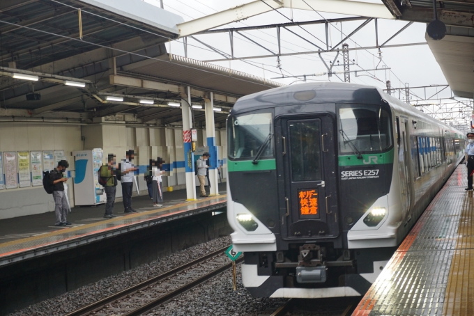 鉄道乗車記録の写真:乗車した列車(外観)(4)        「JR東日本 クハE256-5509
乗車前に撮影」