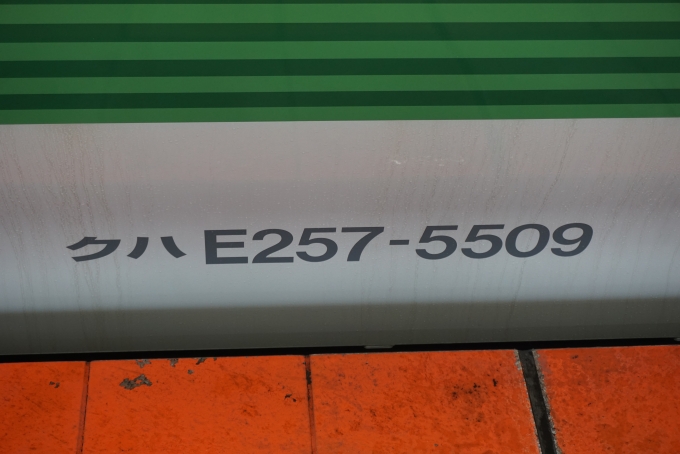 鉄道乗車記録の写真:車両銘板(11)        「JR東日本 クハE257-5509」