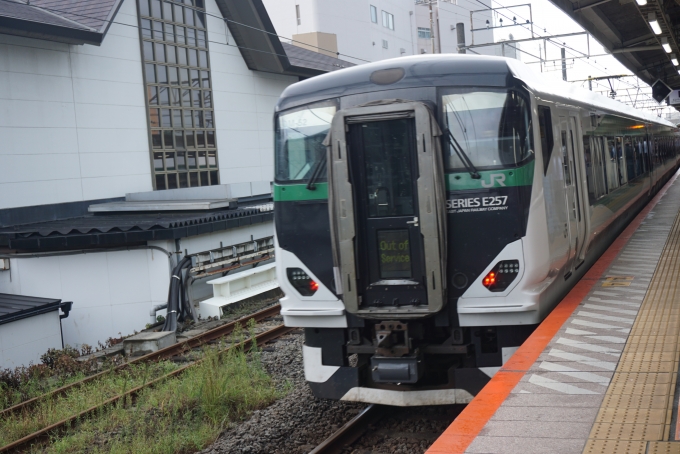 鉄道乗車記録の写真:乗車した列車(外観)(14)        「JR東日本 クハE257-5509
降車後に撮影」