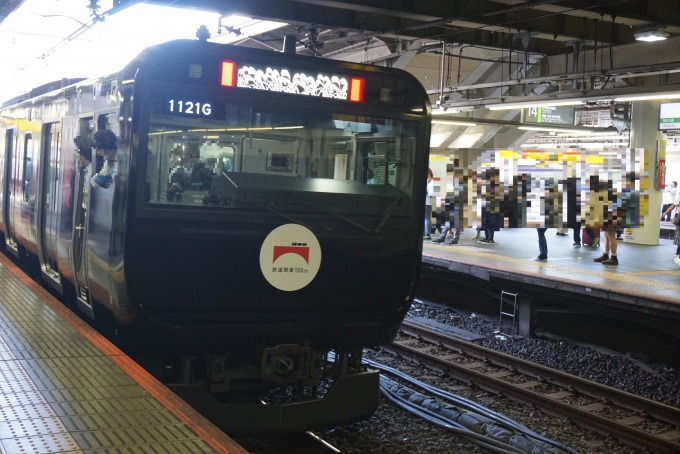 鉄道乗車記録の写真:乗車した列車(外観)(11)        「JR東日本 クハE235-15
降車後に撮影」