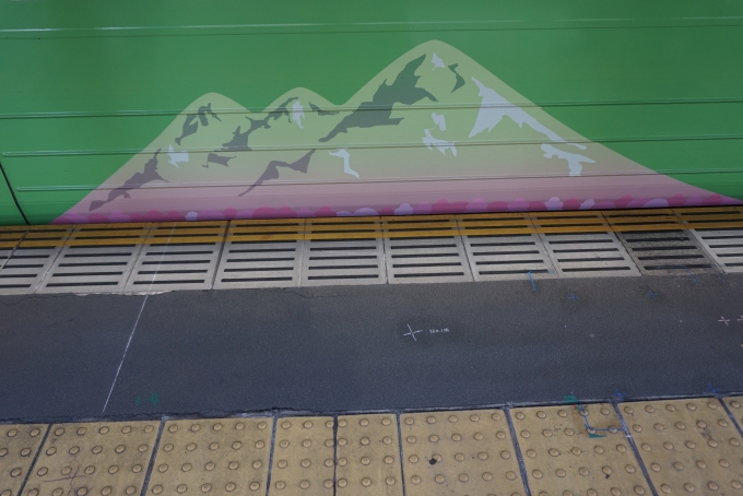 鉄道乗車記録の写真:乗車した列車(外観)(12)        「高尾山」