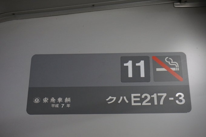 鉄道乗車記録の写真:車両銘板(2)        「JR東日本 クハE217-3」