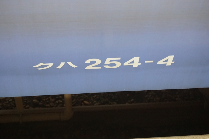 鉄道乗車記録の写真:車両銘板(5)        「JR東日本 クハ254-4」